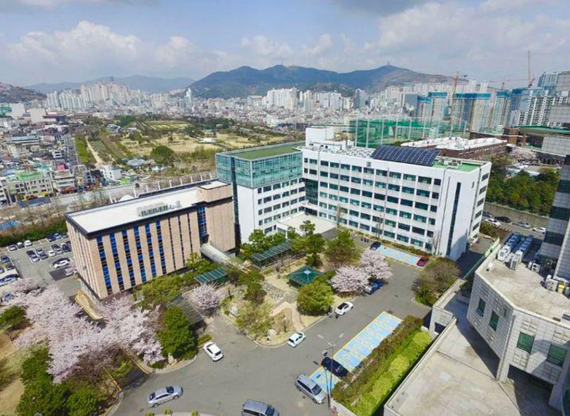 韩国东明大学