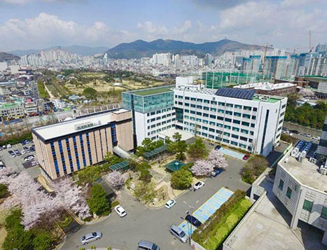 韩国东明大学